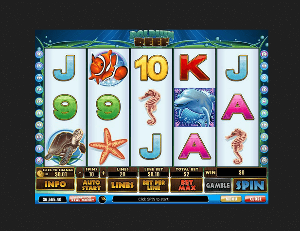 Dolphin Reef Online Slot Theme